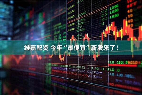 维嘉配资 今年“最便宜”新股来了！