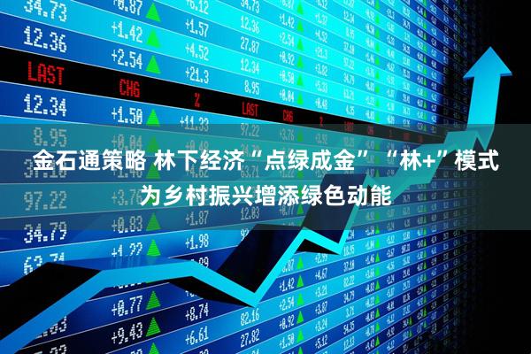 金石通策略 林下经济“点绿成金” “林+”模式为乡村振兴增添绿色动能