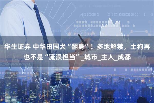华生证券 中华田园犬“翻身”！多地解禁，土狗再也不是“流浪担当”_城市_主人_成都