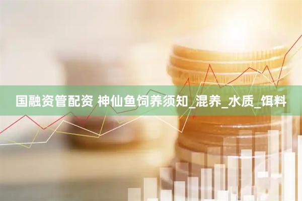 国融资管配资 神仙鱼饲养须知_混养_水质_饵料