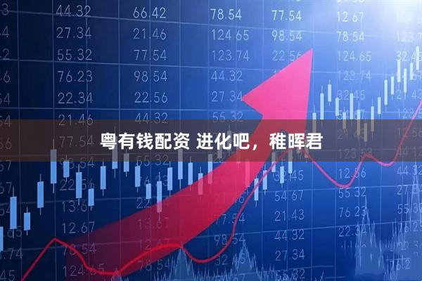 粤有钱配资 进化吧，稚晖君