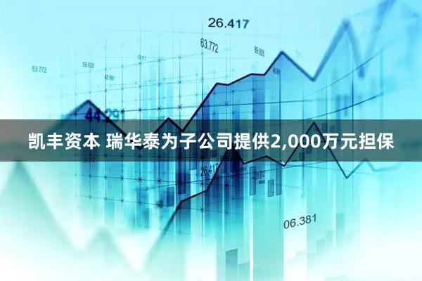 凯丰资本 瑞华泰为子公司提供2,000万元担保
